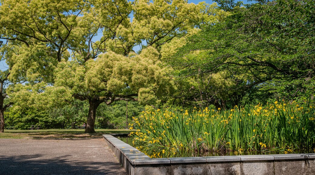 Ojigaoka Park