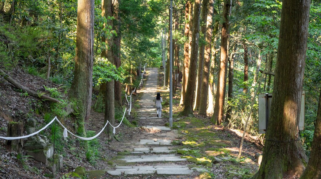 Onsenji Temple