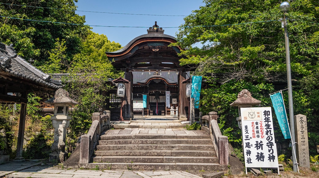 Mii-dera