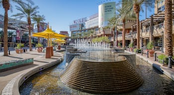 Westgate Entertainment District showing a fountain and a city