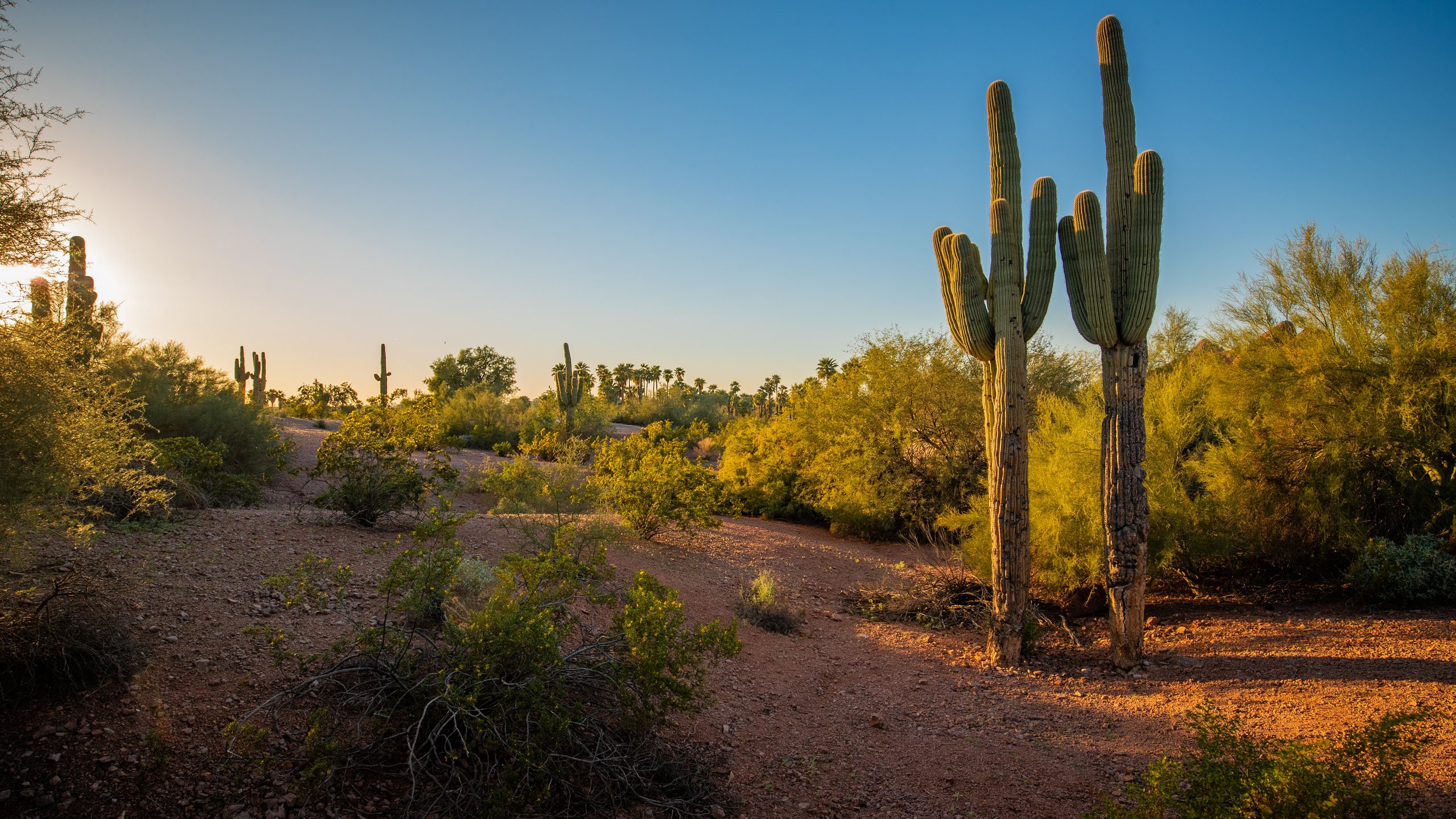 Camelback East, Phoenix Vacation Rentals house rentals & more Vrbo
