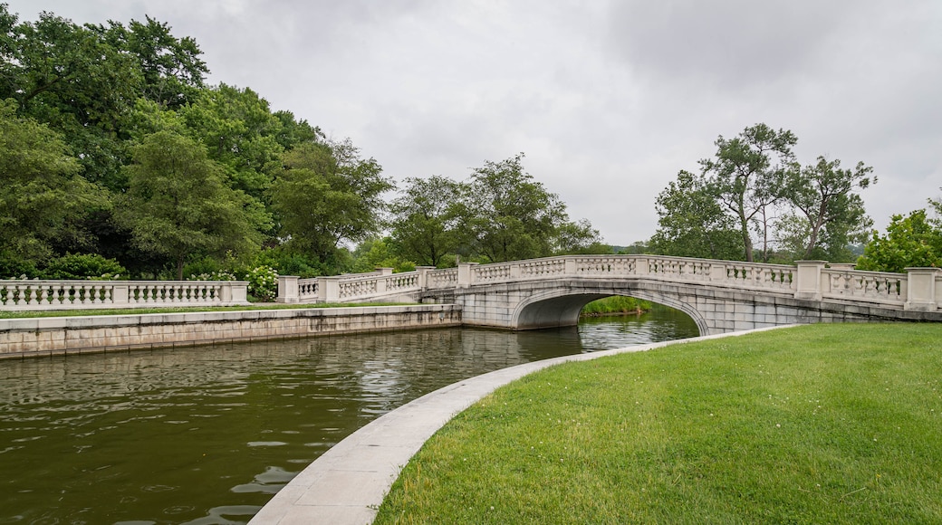 Forest Park