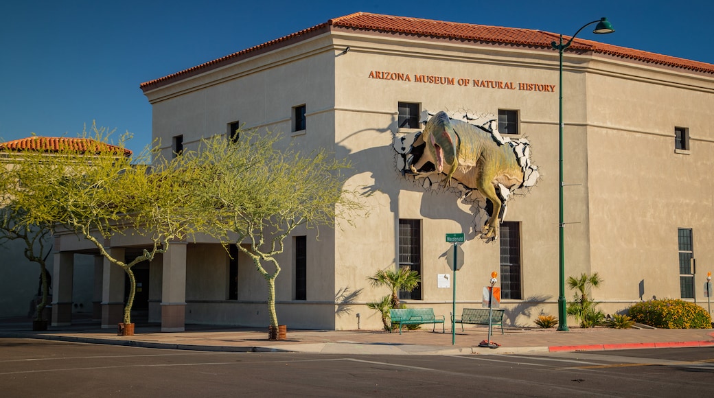 Arizona Museum of Natural History showing signage and outdoor art