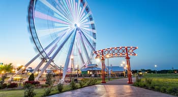 Branson Ferris Wheel featuring a garden and night scenes