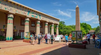 Memphis Zoo which includes street scenes