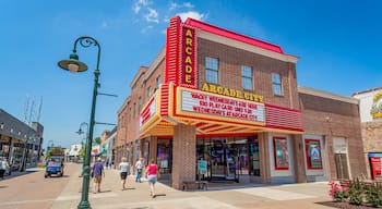 Branson Landing which includes signage and street scenes