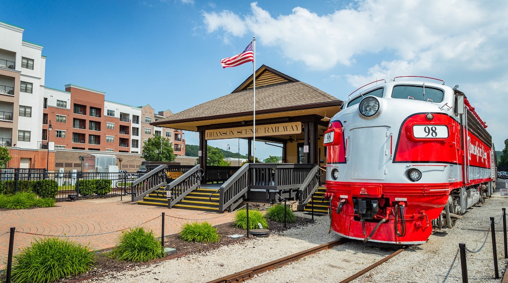 Ferrovia Branson's Scenic