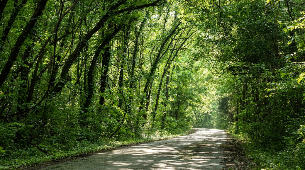 Table Rock State Park