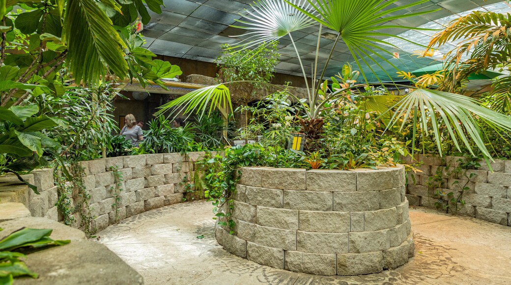 Shepherd of the Hills