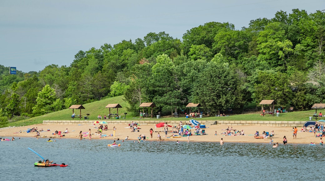 Moonshine Beach which includes general coastal views, a beach and swimming