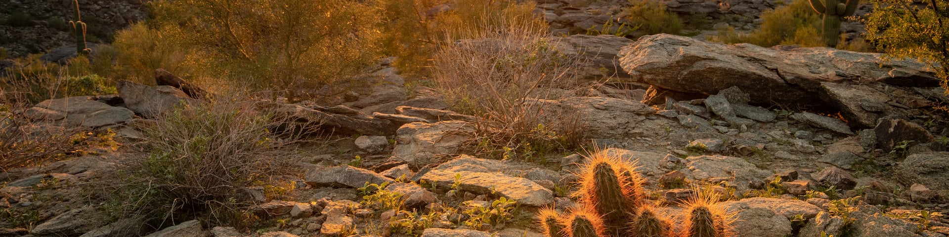 South Mountain Park featuring desert views and a sunset