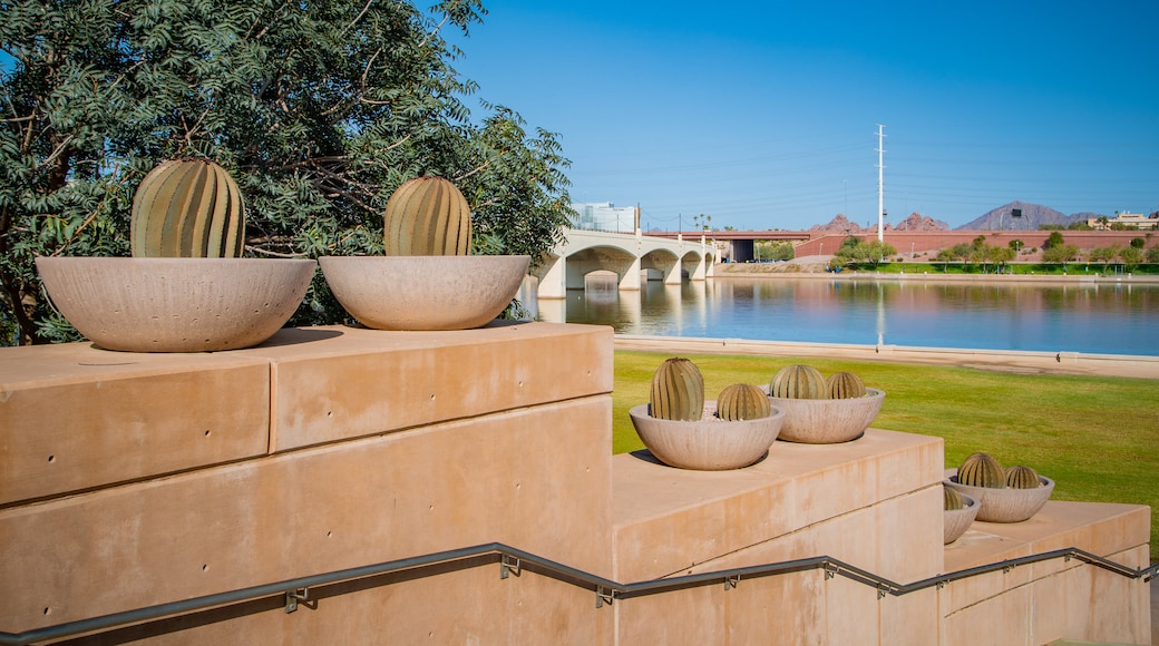 Tempe Town Lake