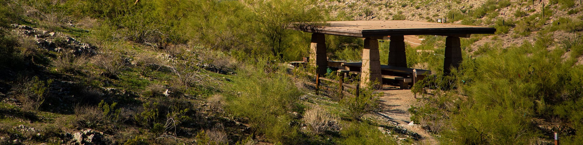 Phoenix Mountain Preserve featuring tranquil scenes and desert views