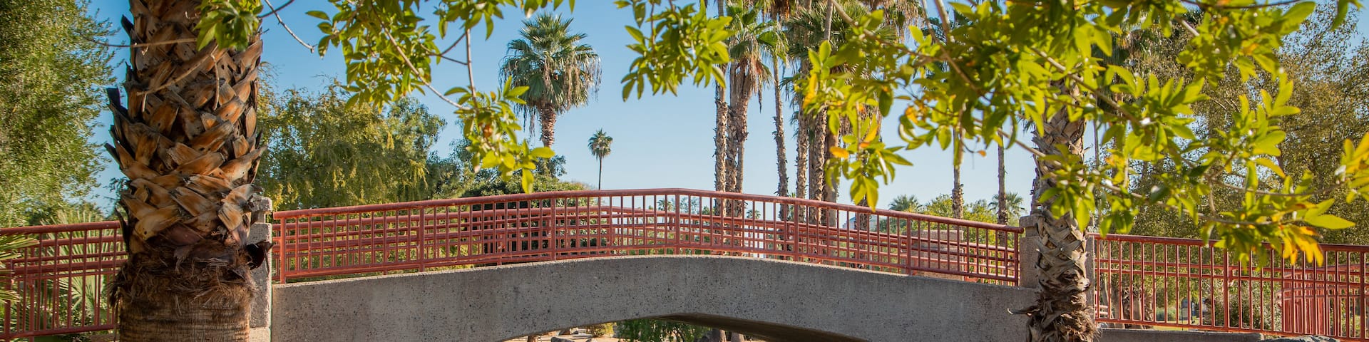 Encanto Park which includes a river or creek and a bridge