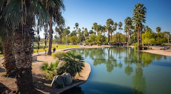 Encanto Park showing a pond and a garden