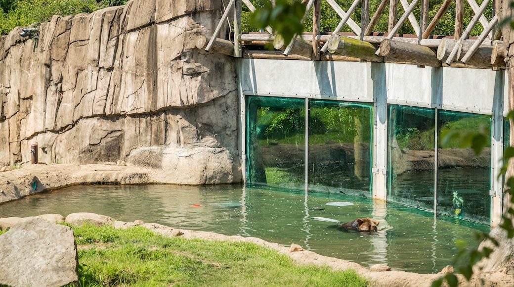 孟菲斯動物園