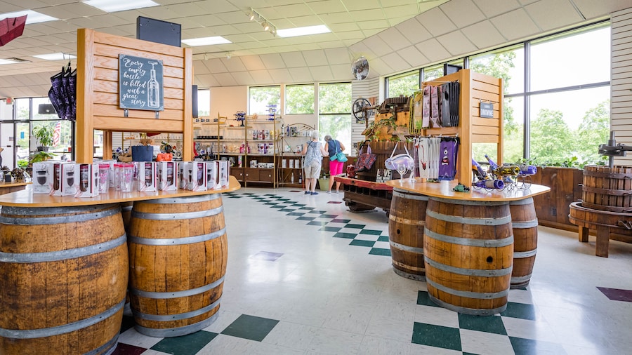 Azienda vinicola Curling Vine Winery