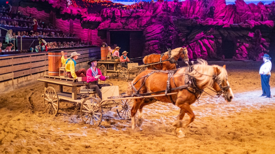 Dolly Parton's Stampede Dinner Attraction