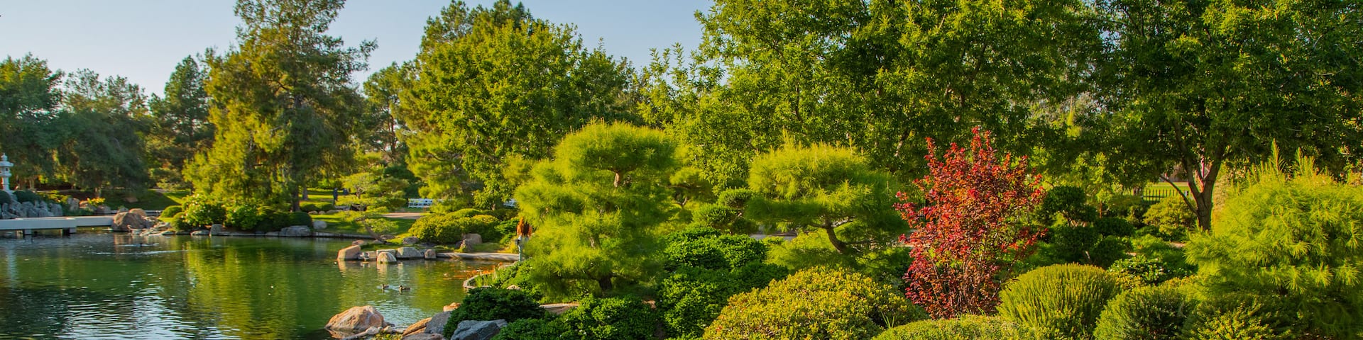 Japanese Friendship Garden of Phoenix