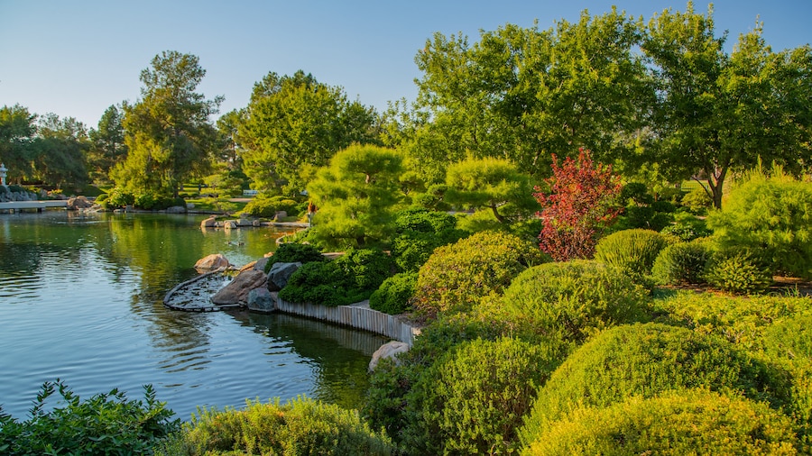 Jardín botánico Japanese Friendship Garden of Phoenix