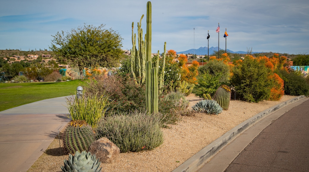 Fuente de Fountain Hills