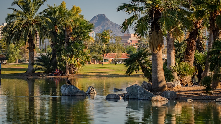 Parque Encanto
