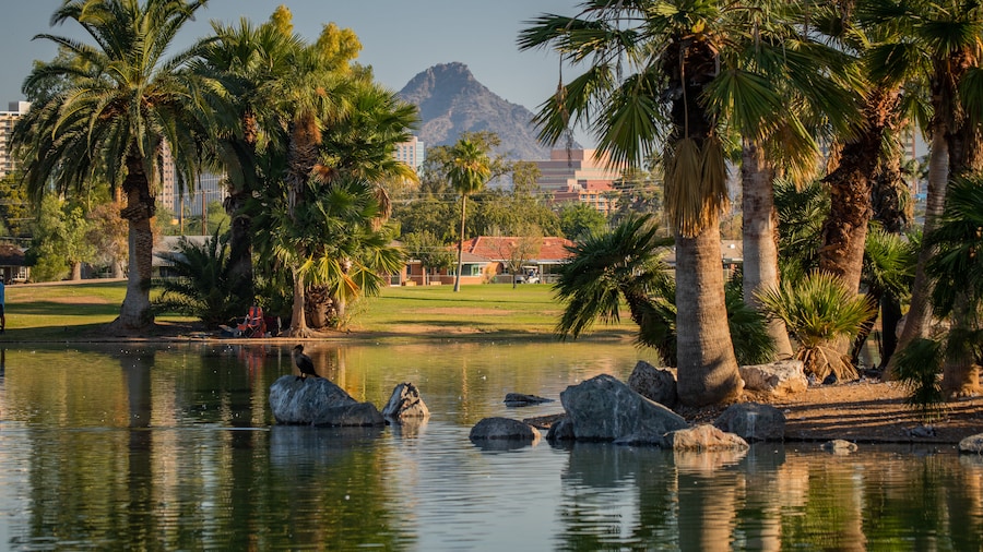 Lagoons and palm trees at Encanto Park in Phoenix, Arizona.