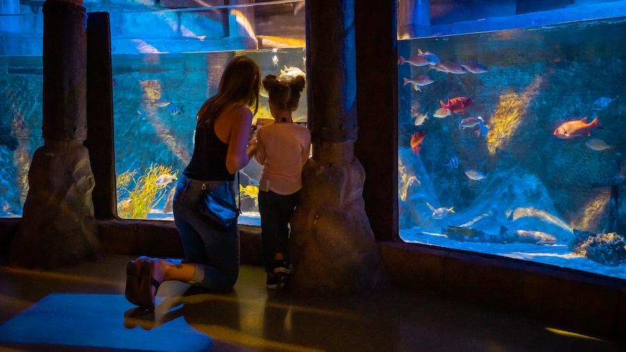 Sea Life Aquarium