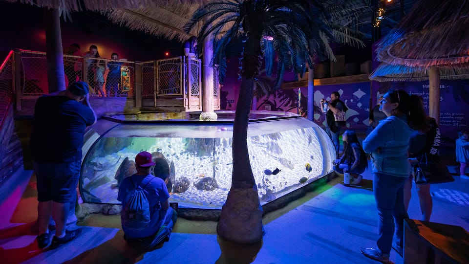 Sea Life Aquarium