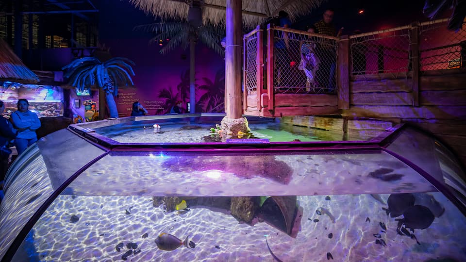 Sea Life Aquarium