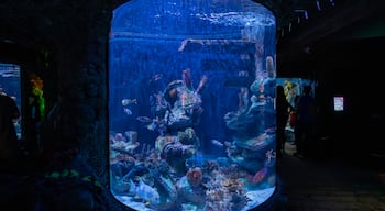 Sea Life Aquarium