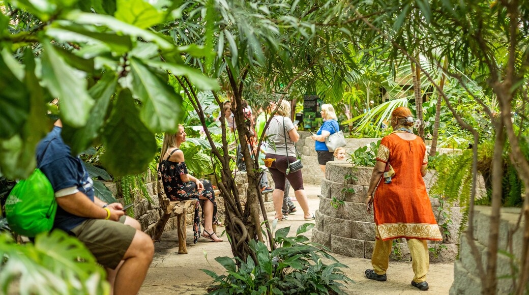 Shepherd of the Hills