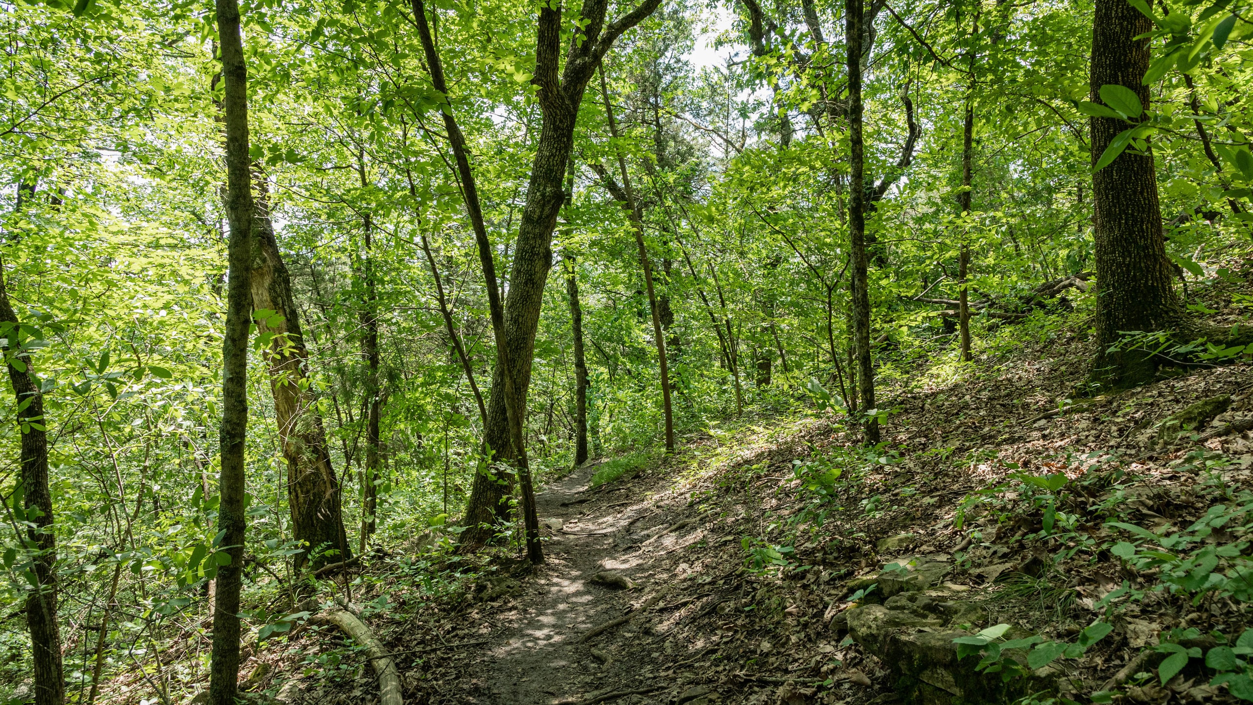 Lake Taneycomo Acres