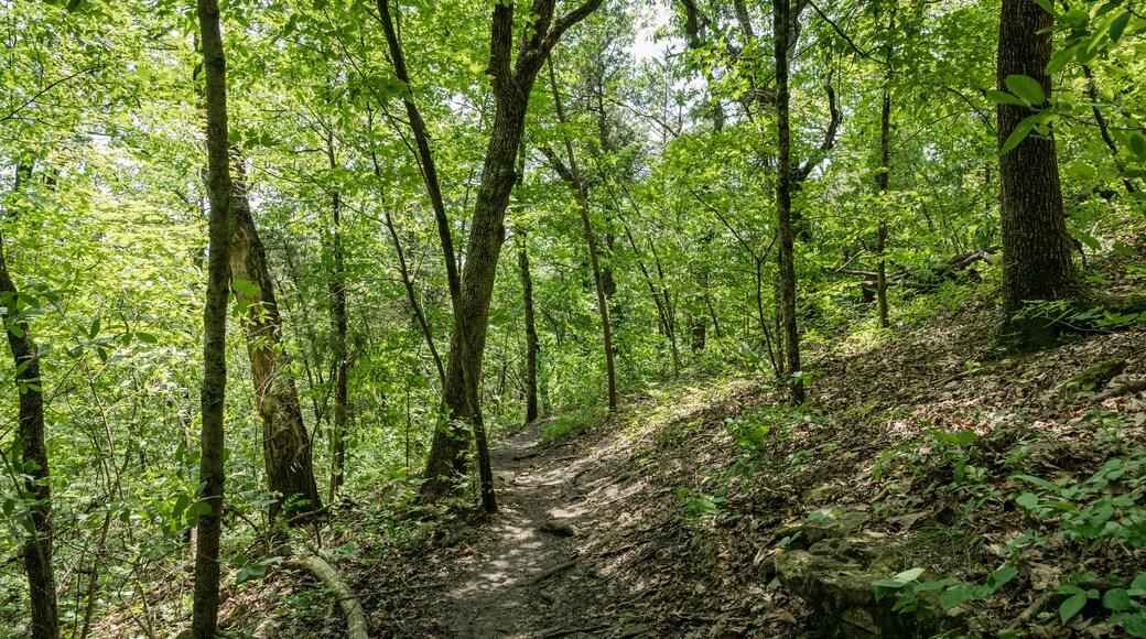 Danau Taneycomo Acres