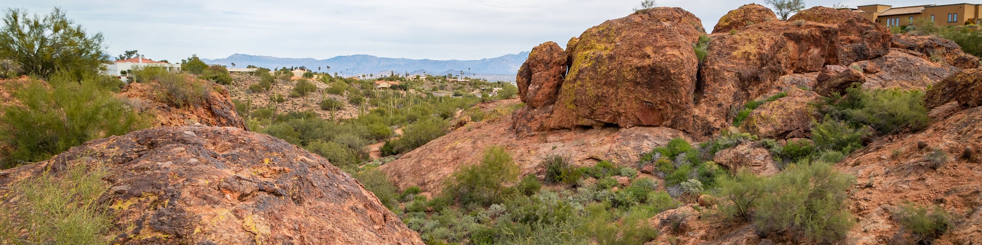 Fountain Hills Botanical Garden