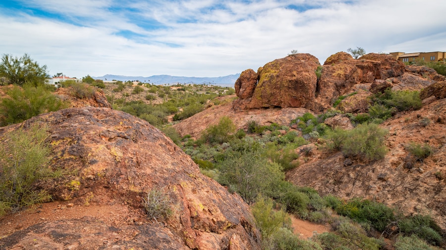 Fountain Hills Botanical Garden