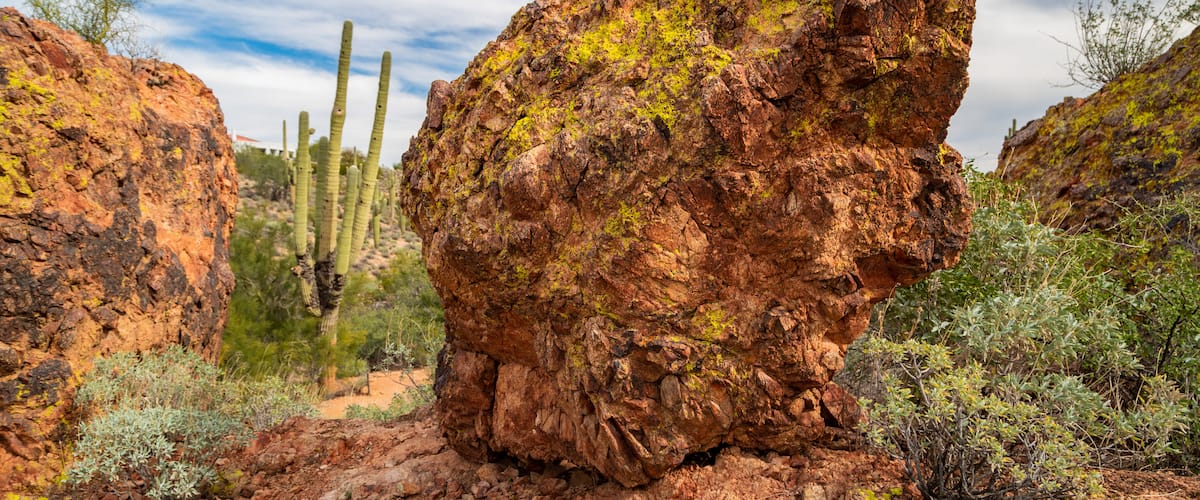 Fountain Hills Botanical Garden