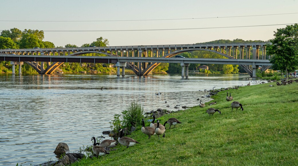 Lake Taneycomo