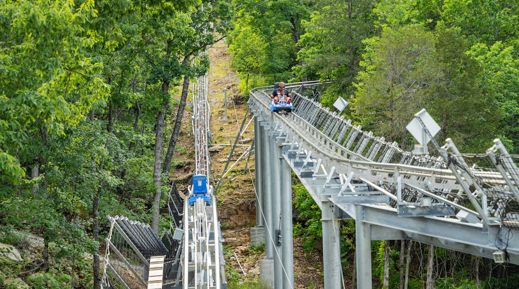 Runaway Mountain Coaster at Branson Mountain Adventure Park