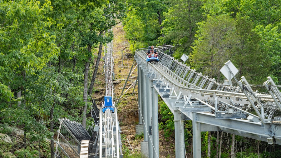 Montagne Russe Runaway Mountain Coaster del Branson Mountain Adventure Park