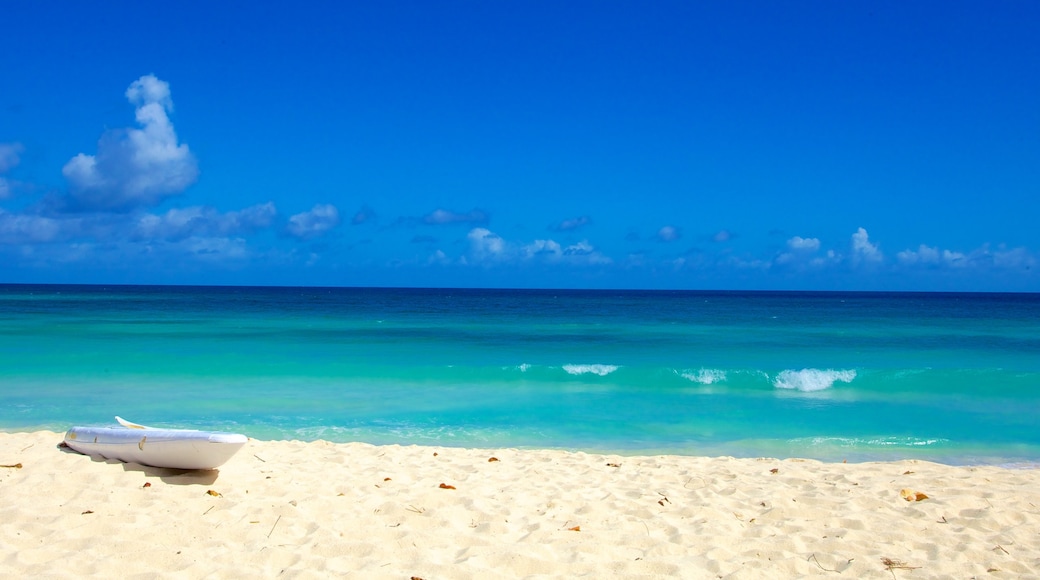 Dover Beach featuring a sandy beach and landscape views