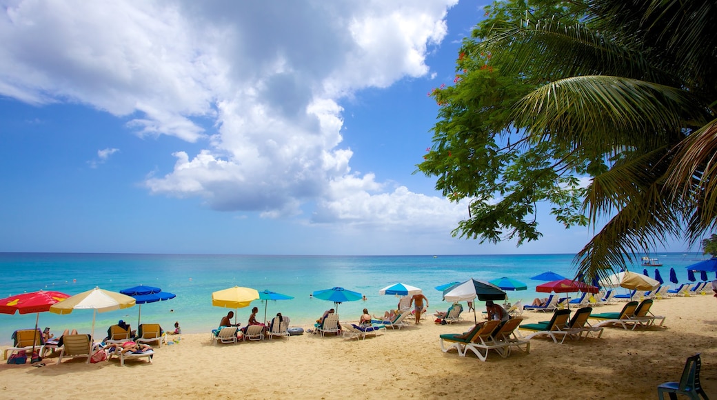 Mullins Beach which includes a beach, tropical scenes and a luxury hotel or resort