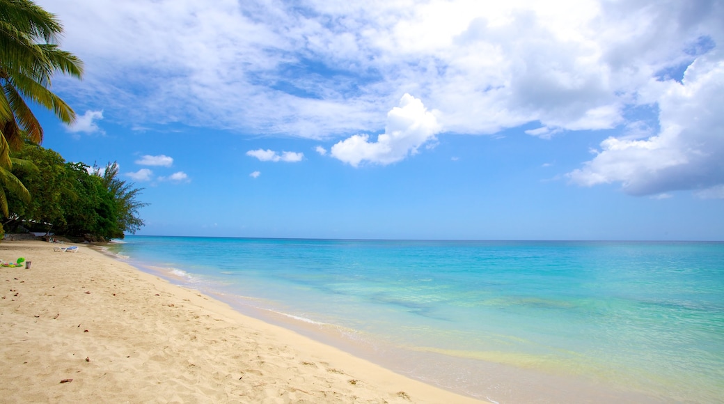 Mullins Beach featuring tropical scenes, landscape views and a beach