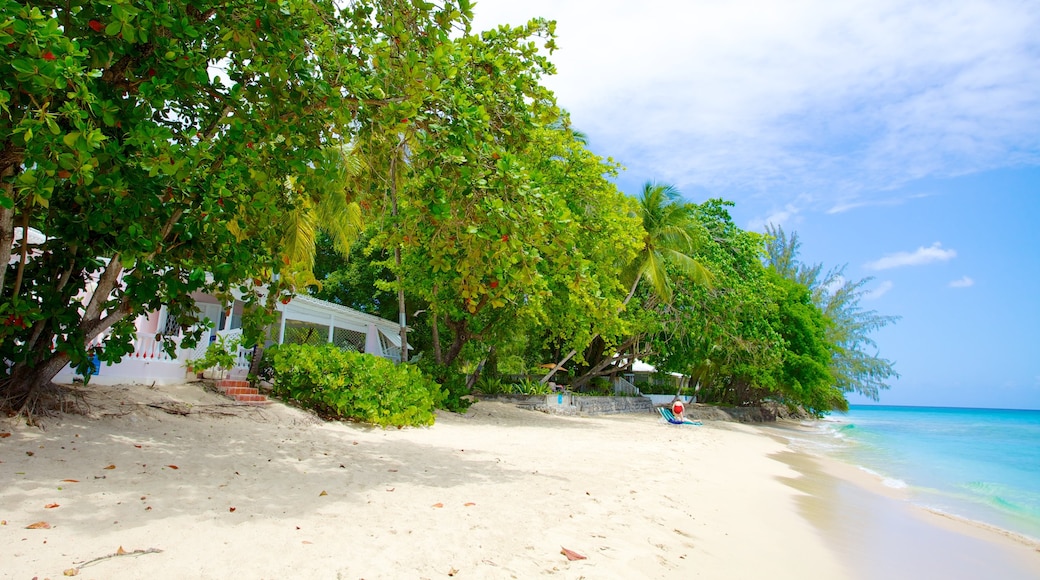 Mullins Beach che include spiaggia sabbiosa e paesaggio tropicale