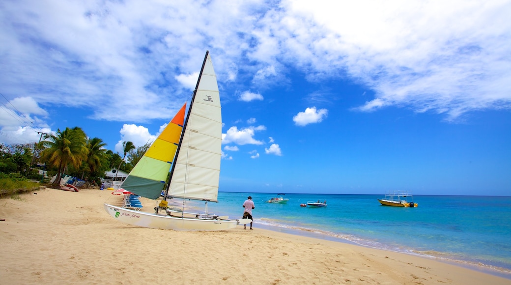 Mullins Beach showing landscape views, tropical scenes and a sandy beach