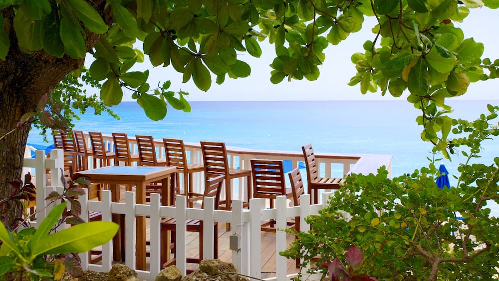 Mullins Beach showing tropical scenes, general coastal views and a coastal town