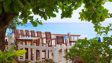 Mullins Beach featuring tropical scenes, general coastal views and a coastal town