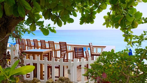 Mullins Beach featuring tropical scenes, general coastal views and a coastal town