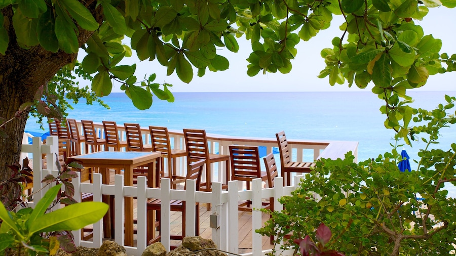 Mullins Beach featuring tropical scenes, general coastal views and a coastal town