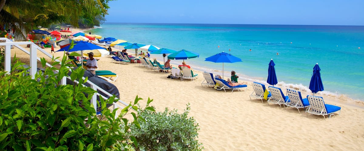 Mullins Beach which includes tropical scenes and a beach